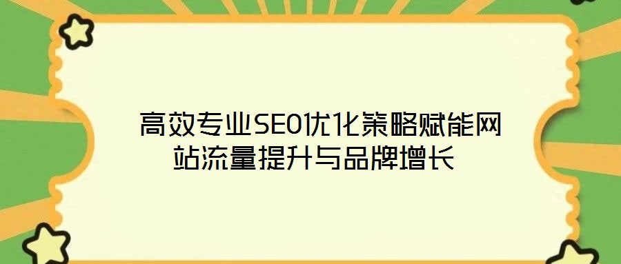 高效專業SEO優化策略賦能網站流量提升與品牌增長